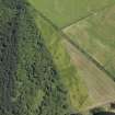 Oblique aerial view centred on the cropmarks of the unenclosed settlement, pits and possible souterrain, taken from the W.