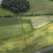 Oblique aerial view centred on the cropmarks of the settlement, taken from the NNE.