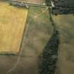 Oblique aerial view centred on the parchmarks of the enclosure with the cropmarks of the field boundary and pit alignment adjacent, taken from the NNW.