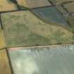 Oblique aerial view centred on the cropmarks of the pit-alignments, taken from the S.