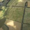 Oblique aerial view centred on the cropmarks of the pit-alignments and palisaded enclosure, taken from the SSE.