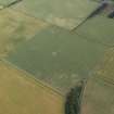 Oblique aerial view centred on the cropmarks of the enclosure, taken from the SE.