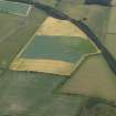 Oblique aerial view centred on the cropmarks of the plantation bank and rig, taken from the NE.