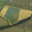 Oblique aerial view centred on the cropmarks of the plantation bank and rig, taken from the WNW.