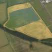 Oblique aerial view centred on the cropmarks of the plantation bank and rig, taken from the WSW.