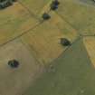 Oblique aerial view centred on the cropmarks of the field system and Roman temporary camps, taken from the NE.