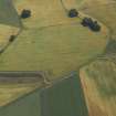 Oblique aerial view centred on the cropmarks of the field system and Roman temporary camps, taken from the W.
