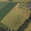 Oblique aerial view centred on the cropmarks of the Roman temporary camp and field boundaries, taken from the WSW.