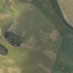 Oblique aerial view centred on the parchmarks of the Roman fort, taken from the E.