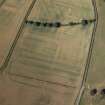 Oblique aerial view centred on the cropmarks of the Roman fort and fort annexes, taken from the NE.