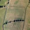 Oblique aerial view centred on the cropmarks of the Roman fort and fort annexes, taken from the SW.