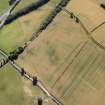 Oblique aerial view centred on the cropmarks of the Roman fort, Roman temporary camps and fort annexes, taken from the NW.
