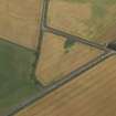 Oblique aerial view centred on the cropmarks of the enclosures, taken from the SW.