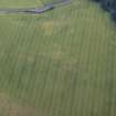 Oblique aerial view centred on the cropmarks of the enclosure, taken from the NNW.