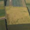 Oblique aerial view centred on the cropmarks of the palisaded enclosure, possible ring-ditches and barrow, taken from the SSE.