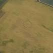 Oblique aerial view centred on the cropmarks of the palisaded enclosure, possible ring-ditches and barrow, taken from the ESE.