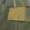 General oblique aerial view centred on the cropmarks of the palisaded enclosure, possible ring-ditches and barrow, taken from the ENE.