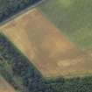 Oblique aerial view centred on the cropmarks of the settlement, taken from the E.