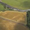 Oblique aerial view centred on the cropmarks of the fort and the possible causewayed enclosure, taken from the NNE.