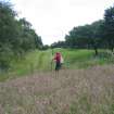 Ms G Brown from RCAHMS surveying at Seabegs Wood Roman Fortlet on the Antonine Wall.