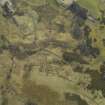 Oblique aerial view of Rhicullen, Ross-shire, centred on the remains of the practice trenches, taken from the NW.