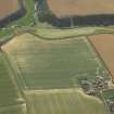 Oblique aerial view centred on the parchmarks of the settlement, taken from the NNW.