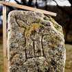 Detail of carving with scale bar, Dunachton Pictish symbol stone.