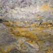 Interior. Mine No 3. Detail of fossilised tree in ceiling of adit.