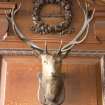 Interior. Detail of stags head and carving above fireplace in boardroom on first floor.