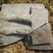 Fragments of west highland grave slab showing bottom of tunic and legs
