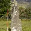 Standing stone, view from SE (with range pole)