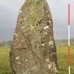 Standing stone, view from NW (with range-pole)