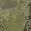 Oblique aerial view of the remains of the townships, taken from the SE.