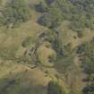 Oblique aerial view centred on the remains of the township and field banks, taken from the SW.