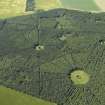 Oblique aerial view of part of the wood, taken from the SE.