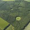 Oblique aerial view of part of the wood, taken from the SE.