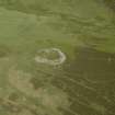 Oblique aerial view centred on the remains of the fort, taken from the W.