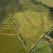 Oblique aerial view centred on the cropmarks of a circular settlement with outworks, taken from the E.