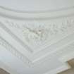 Interior. Ground Floor N Drawing room detail of plasterwork