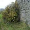 View of replaced possible oatmeal runner stone leaning against SE gable.