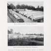 Catalogue of Horticultural Buildings by MacKenzie and Moncur
"Range of Hothouses erected at Westonbirt, Gloucestershire" and "Range of Hothouses erected at Wiseton Hall, Nottinghamshire"