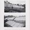 Catalogue of Horticultural Buildings by MacKenzie and Moncur
"Range of Fruit Houses erected at Linton Park, Kent" and "Range of Hothouses erected at Firbeck Hall, Rotherham, Yorkshire"