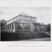 Catalogue of Horticultural Buildings by MacKenzie and Moncur
New Wing, Temperate House, Royal Botanic Gardens, Kew