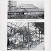 Catalogue of Horticultural Buildings by MacKenzie and Moncur
"Winter Garden erected at Hotel Majestic, Harrogate" and "Interior of Winter Garden erected at Hotel Majestic, Harrogate"