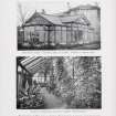 Catalogue of Horticultural Buildings by MacKenzie and Moncur
"Palm Room erected at Clonsilla Lodge, Co. Dublin. (Interior on page 87)" and "Interior of Conservatory erected at Cragside, Northumberland"