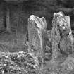 Photograph of recumbent stone at Loanhead of Daviot, taken from ESE.
Titled: "Loanhead of Daviot. Double Recumbent Stone".