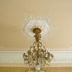 Interior. Ground floor. Drawing room. Plasterwork and light fitting. Detail
