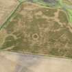 Oblique aerial view of the cropmarks of the enclosure, barrows, field boundary and pits at West Myroch, taken from the SSE.