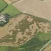 Oblique aerial view of the cropmarks of the pit defined avenue and cursus and the barrow at Kirkmabreck, taken from the SE.