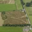 0blique aerial view of the cropmarks of the Roman Temprary Camp and pits at Glenlochar, taken from the E.